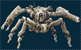 アラクネー